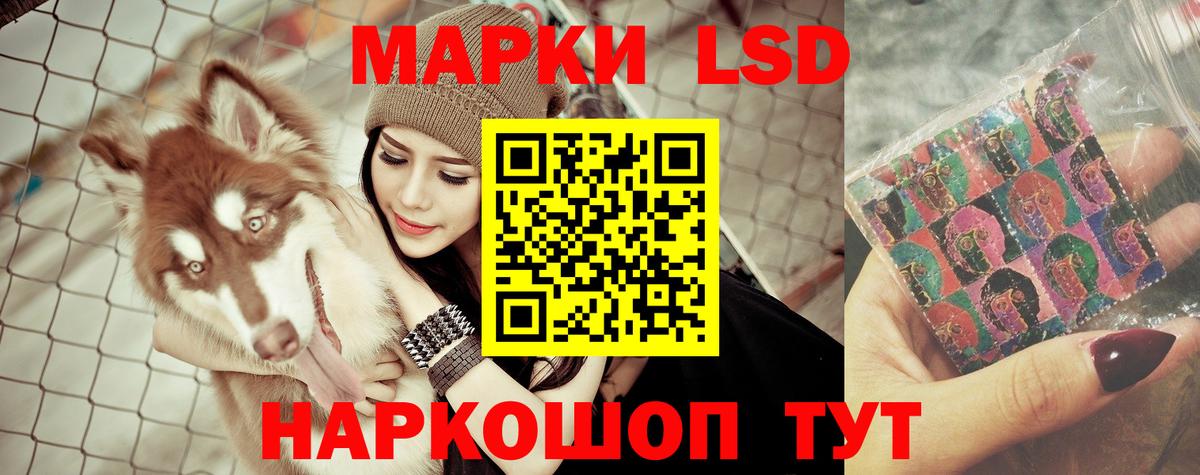 Лсд 25 экстази ecstasy  Лсд 25 экстази кислота  Вход с VPN  Вологда 