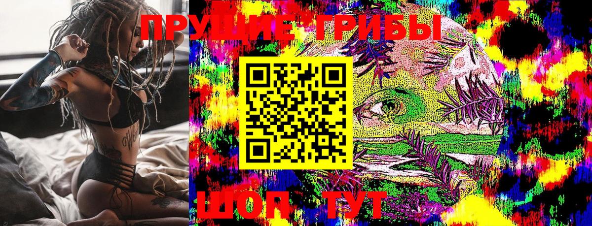 Вологда  Галлюциногенные грибы Magic Shrooms  Вход с VPN 