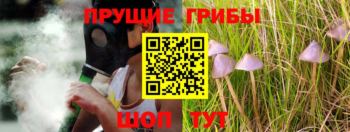 Галлюциногенные грибы мухоморы Вологда